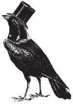 crow top hat