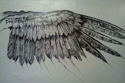 raven wing.jpg